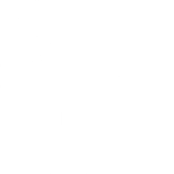 ceo